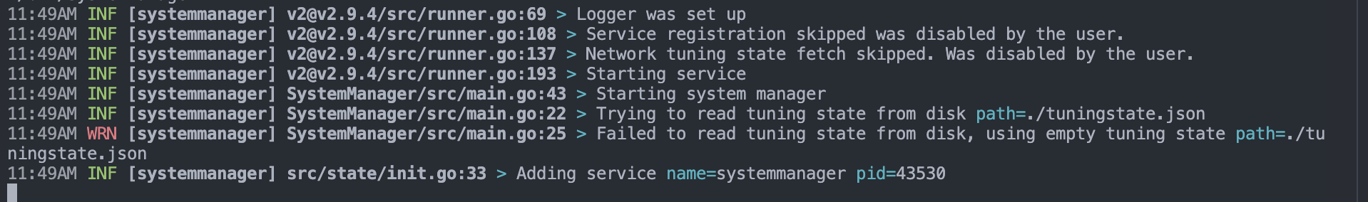 SystemManager startup output